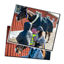 Images from Ridning