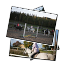 Images from Ridträning 2