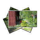 Images from Skönsbo 2014