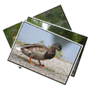 Images from Övrigt