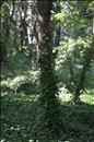 thumbnail of _DS10866