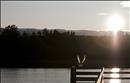 thumbnail of _DSC0568