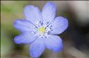 thumbnail of _DS15471