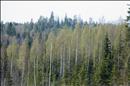 thumbnail of _DS15546