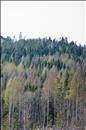 thumbnail of _DS15589